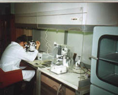 Working place of laboratory assistant