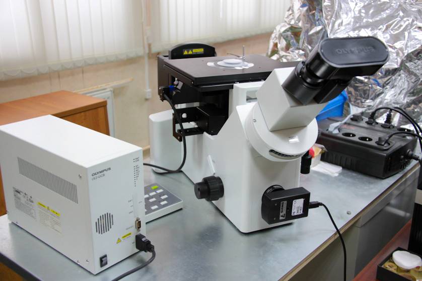 Inverted microscope OLYMPUS GX51. Magnification range from х12.5 to х1500.